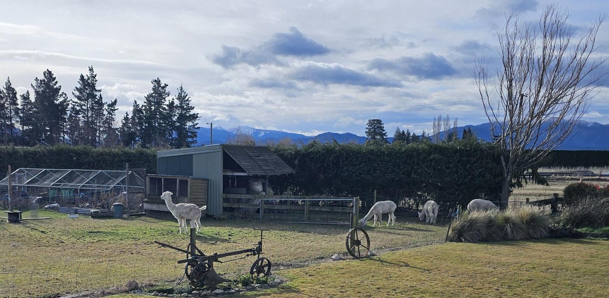 Bahara Accommodation Springfield エクステリア 写真